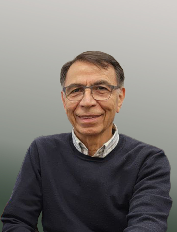 Sirous Jourabloo